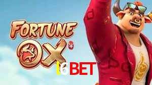 l6bet plataforma